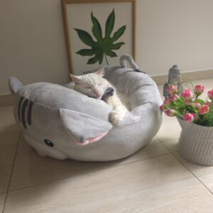 Gatito Kawaii