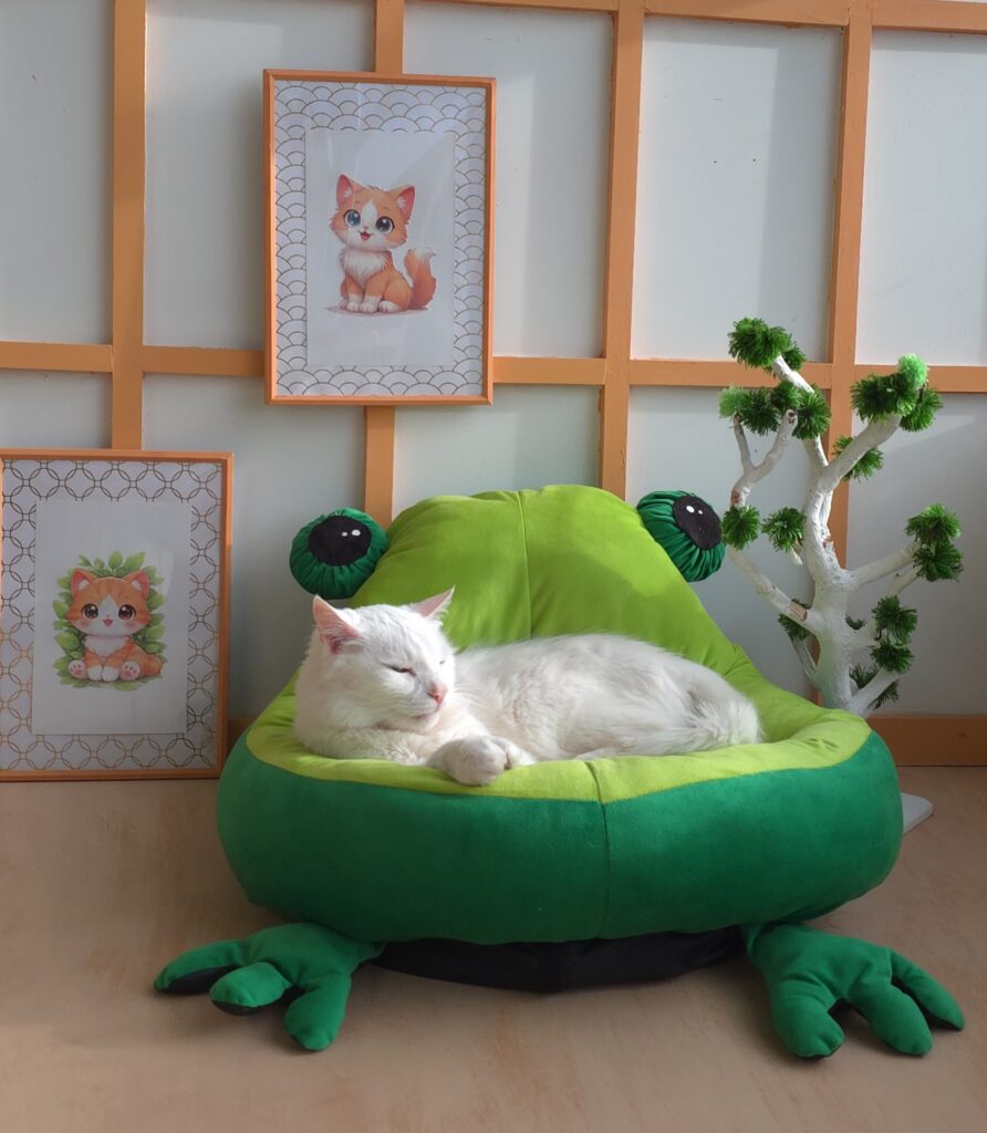 Cama gatito